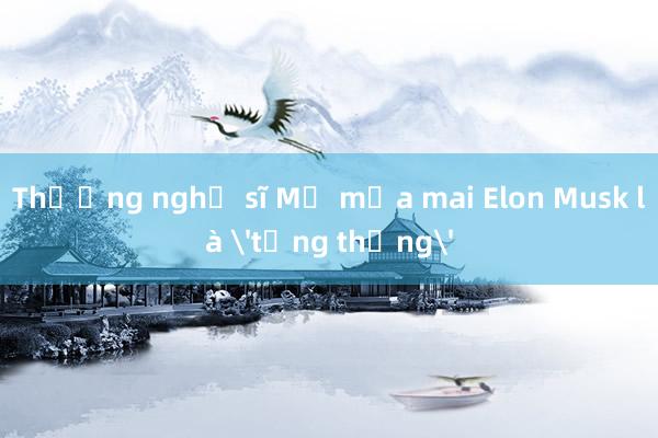 Thượng nghị sĩ Mỹ mỉa mai Elon Musk là 'tổng thống'