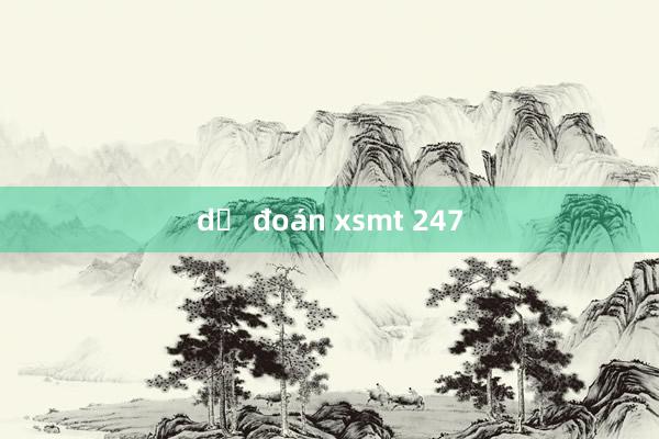 dự đoán xsmt 247