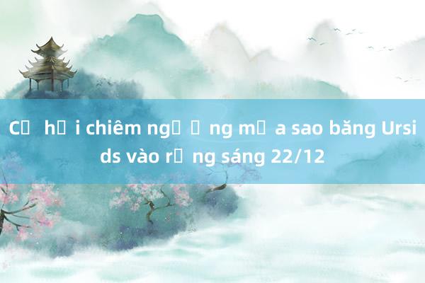 Cơ hội chiêm ngưỡng mưa sao băng Ursids vào rạng sáng 22/12