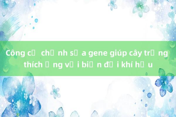 Công cụ chỉnh sửa gene giúp cây trồng thích ứng với biến đổi khí hậu