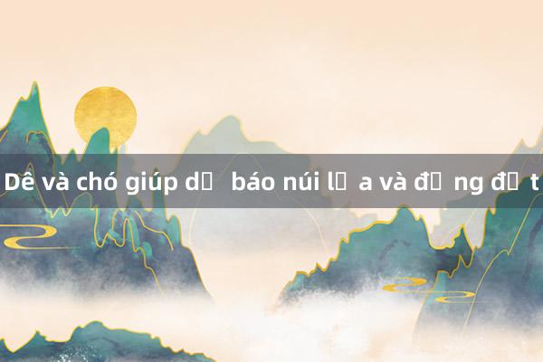 Dê và chó giúp dự báo núi lửa và động đất