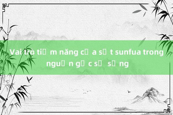 Vai trò tiềm năng của sắt sunfua trong nguồn gốc sự sống