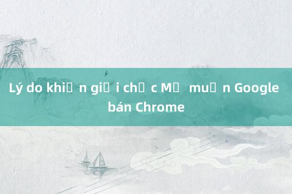 Lý do khiến giới chức Mỹ muốn Google bán Chrome