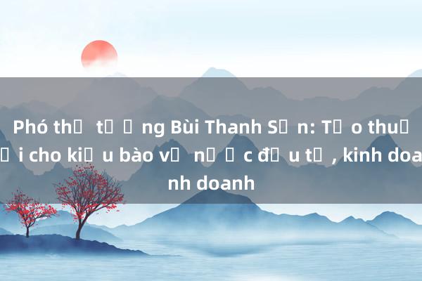 Phó thủ tướng Bùi Thanh Sơn: Tạo thuận lợi cho kiều bào về nước đầu tư， kinh doanh