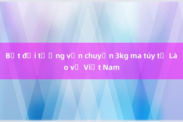 Bắt đối tượng vận chuyển 3kg ma túy từ Lào về Việt Nam